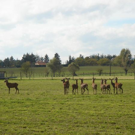 La Ferme Aux Biches Bed & Breakfast Commelle-Vernay Exterior photo